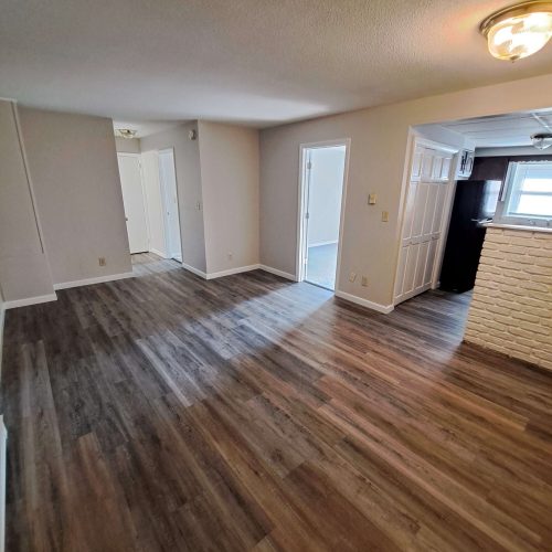 Moving Out Cleaning Service
